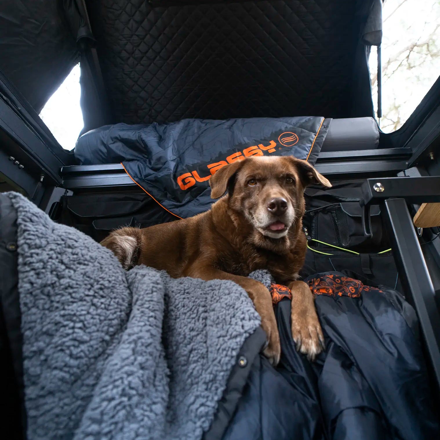 Manta XL Phantom en uso con perros