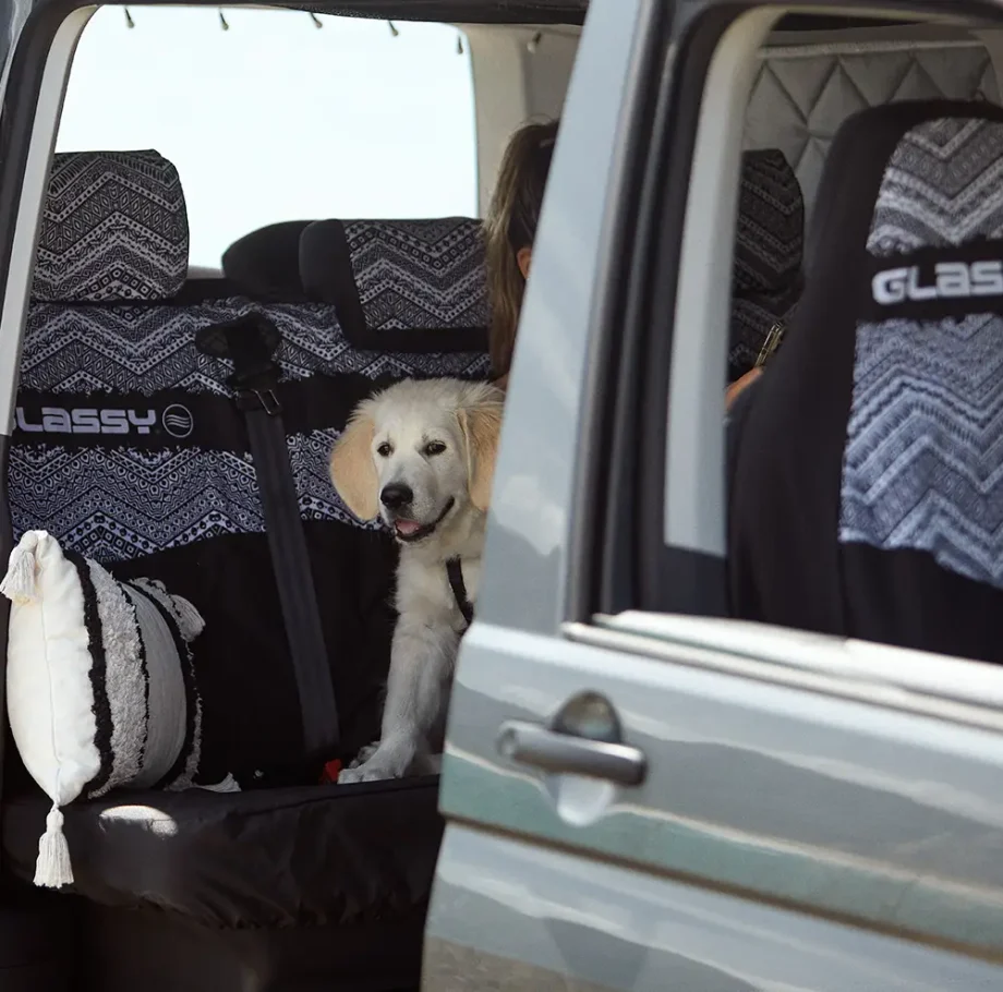 Dog seat cover